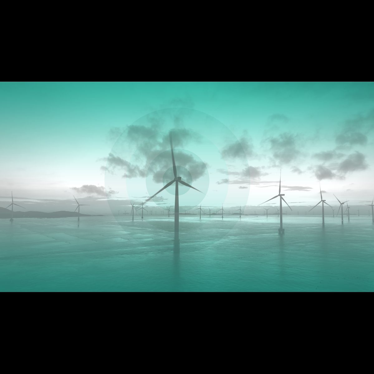 toty-2024-5-toty-2024-offshore